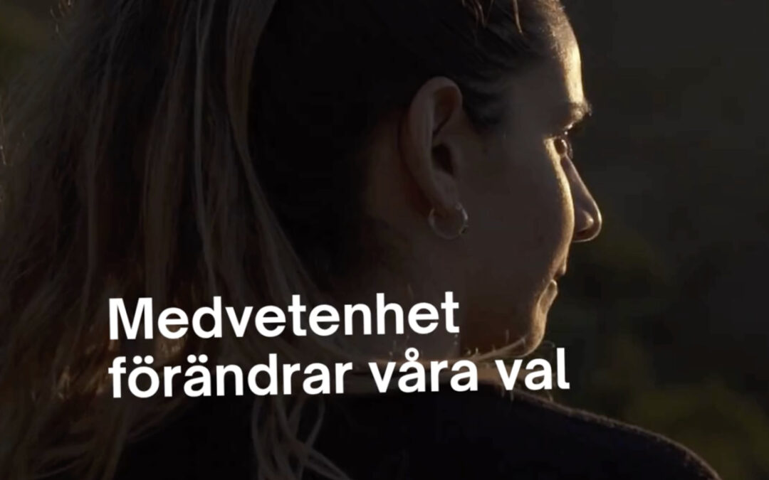 Hur bidrar jag till ett mer hållbart samhälle?